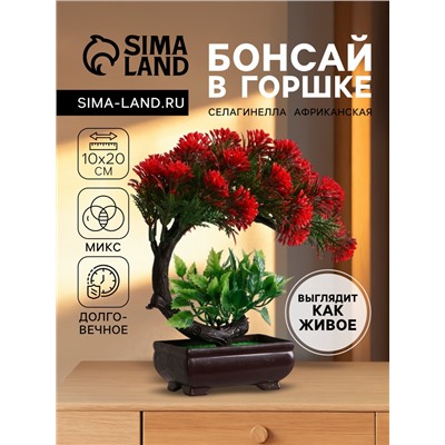 Бонсай искусственный в горшке «Селагинелла африканская», 10×20 см, МИКС