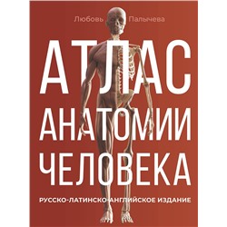 АСТ Палычева Любовь Николаевна "Атлас анатомии человека. Русско-латинско-английское издание"