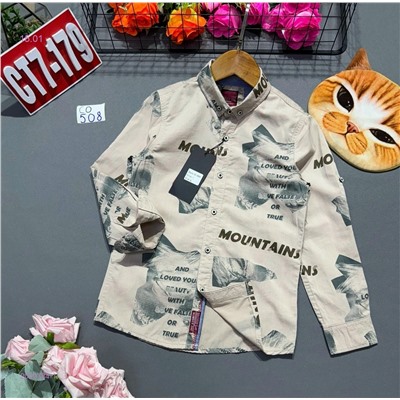 рубашка 2050784-1