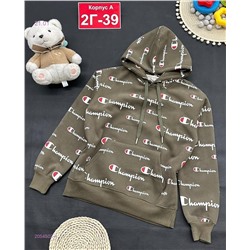 кофта с начесом 2054502-4