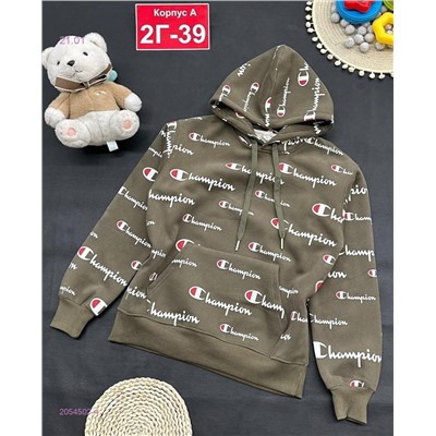 кофта с начесом 2054502-4