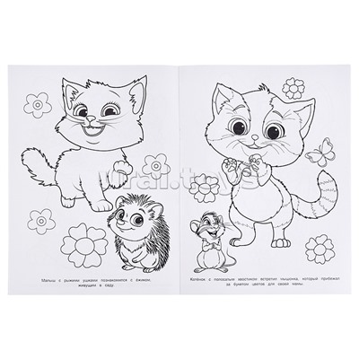 Котята в волшебном саду. Раскраска