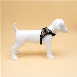 Шлейка К7, размер М, ОГ 52-66 см, вес 9.5-17.5 кг, мягкая, светоотражающая, леопард