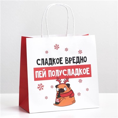 Пакет подарочный новогодний «Сладкое вредно», 22×22×11 см