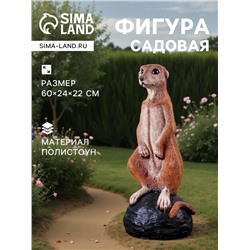 Садовая фигура из полистоуна «Большой сурикат на камне», 60×24×22 см