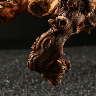 Коряга для аквариума «Лоза виноградная», 50 - 60 см