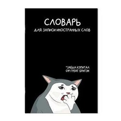 Тетрадь-словарик для записи иностр. слов А5 24л "КОТЫ МЕМЫ" 69895 Феникс