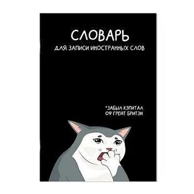 Тетрадь-словарик для записи иностр. слов А5 24л "КОТЫ МЕМЫ" 69895 Феникс