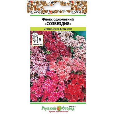 Флокс Созвездие смесь (НК)