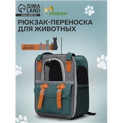Рюкзак - переноска для животных, 30×21×41 см, зелёный
