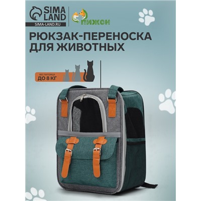 Рюкзак - переноска для животных, 30×21×41 см, зелёный