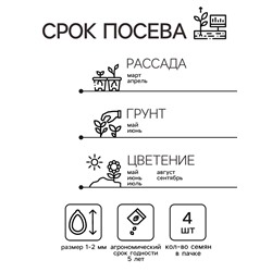 Семена Пеларгония "Павла", ц/п,  F1, 4 шт.