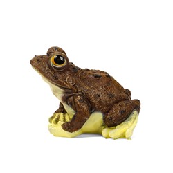 Садовая фигура из полистоуна «Лягушка глазастая древесная», 23×25×20 см