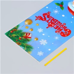 Пакет подарочный БОПП подарочный, «МИКС новогодний», 13×27.5 см