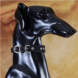 Ошейник «Бархат и стразы», 31×1.3/2 см, ОШ 22-28 см, чёрный