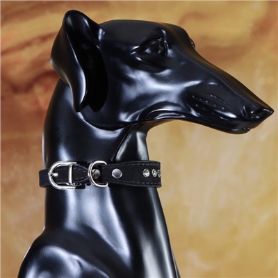 Ошейник «Бархат и стразы», 31×1.3/2 см, ОШ 22-28 см, чёрный