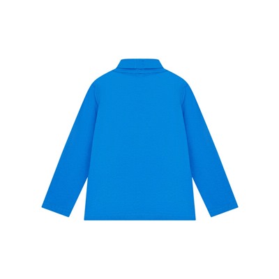 Водолазка трикотажная для мальчиков