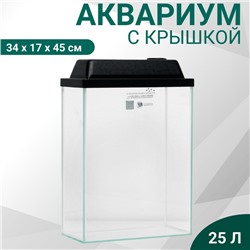 Аквариум Прямоугольный «Колонна Ширма» 25 литров, 34×17×45 см, чёрный