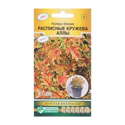 Семена Колеус блюме  "Кружева Аллы",  10 шт