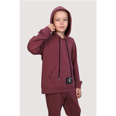 Лекс - man - костюм баклажан