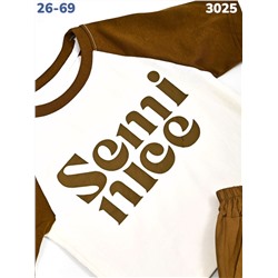 Костюм 3025 коричневый