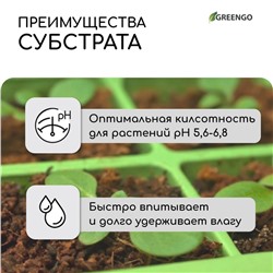 Субстрат кокосовый, универсальный, для террариумов и растений, в брикете, 65 л, 30% чипсы и 70% торф, Greengo