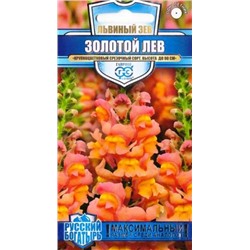 Львиный зев Золотой лев (Код: 84687)