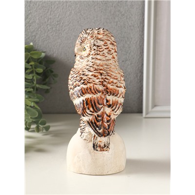 Фигурка гипс «Сова на камне», 18×10 см, мультиколор