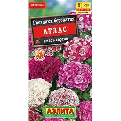 1394A Гвоздика Атлас турецкая махровая, смесь сортов 0,3 г