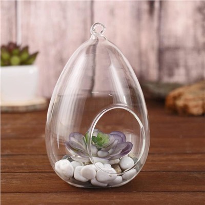 Флорариум «Каплевидная», d отв-5.5 см, 9×9×16 см