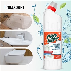 Чистящее средство для сантехники Prosept Bath Extra, концентрат, 1 л