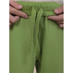 PELICAN Брюки BFPQ3321U