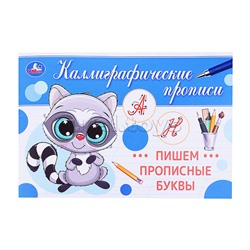 Пишем прописные буквы. Каллиграфическая пропись.