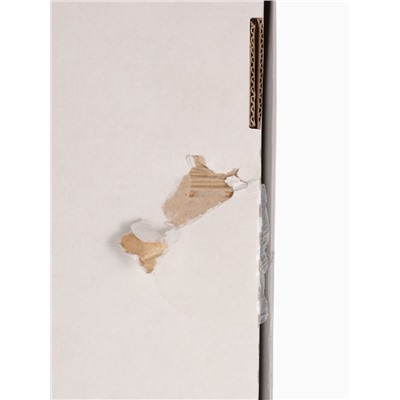 УЦЕНКА Набор столовый Этель «Christmas forest» скатерть 150×180 ±3 см с ГМВО, салф.40×40 см - 8 шт., 5