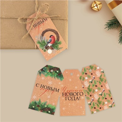 Шильдик новогодний декоративный в наборе «Время чудес», 6 шт., 9×5 см