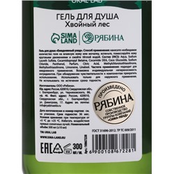 Подарочный набор новогодний Happy New Year: гель для душа, мочалка и термостакан, аромат хвойный лес, URAL LAB