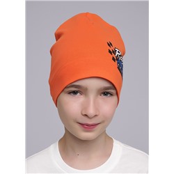 453013 CLEVER Шапка