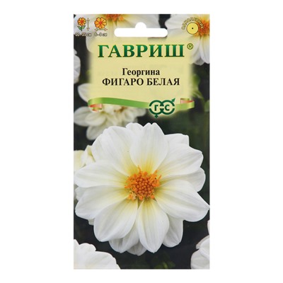 Семена Георгина "Фигаро", ц/п,  белая 7 шт.