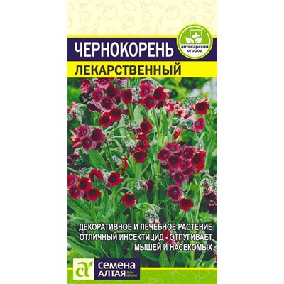 Чернокорень Лекарственный (Алтай)