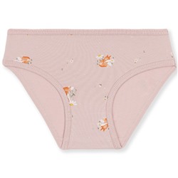 5838 Трусы для девочки многоцвет (BAYKAR)