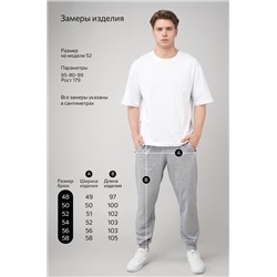 Мужские брюки из футера двухнитки Happyfox