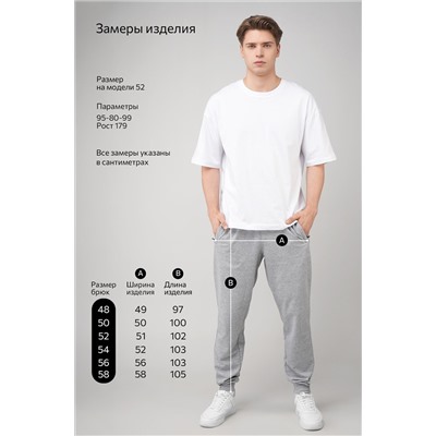 Мужские брюки из футера двухнитки Happyfox