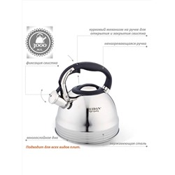 ZEIDAN Чайник Z-4155