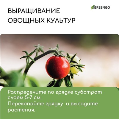 Субстрат кокосовый, универсальный, для террариумов и растений, в брикете, 65 л, 30% чипсы и 70% торф, Greengo