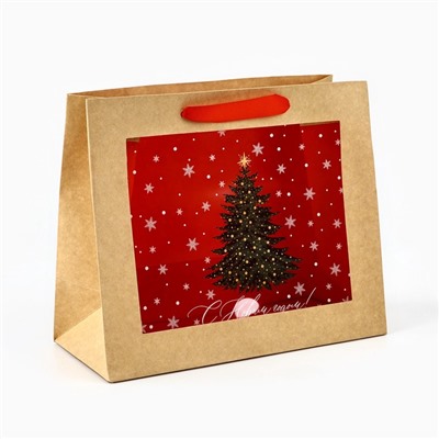 Пакет подарочный новогодний крафтовый с пластиковым окном «Новогоднее чудо», 24×20×11 см