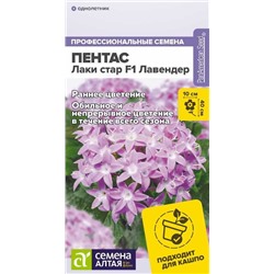 Пентас Лаки стар F1 Лавендер (Алтай)