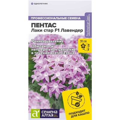 Пентас Лаки стар F1 Лавендер (Алтай)