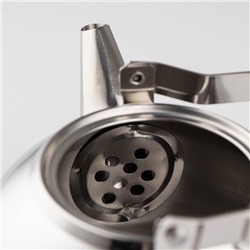 Заварочный чайник «Жуан», 1 л, металлическое сито, нержавеющая сталь, хромированный