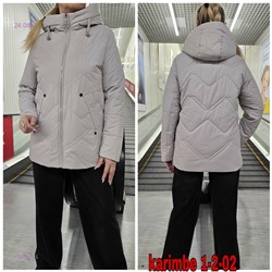 Куртка осень 1983627-5