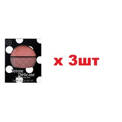 VS Румяна двойные Teinte Delicate 5г тон 12 3шт